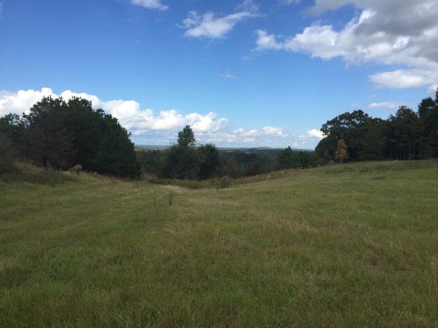 431 Us Hwy 431, Eufaula, AL 36027